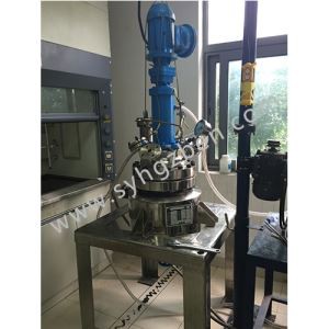 Paslanmaz çelik petrol Isıtma reaktör